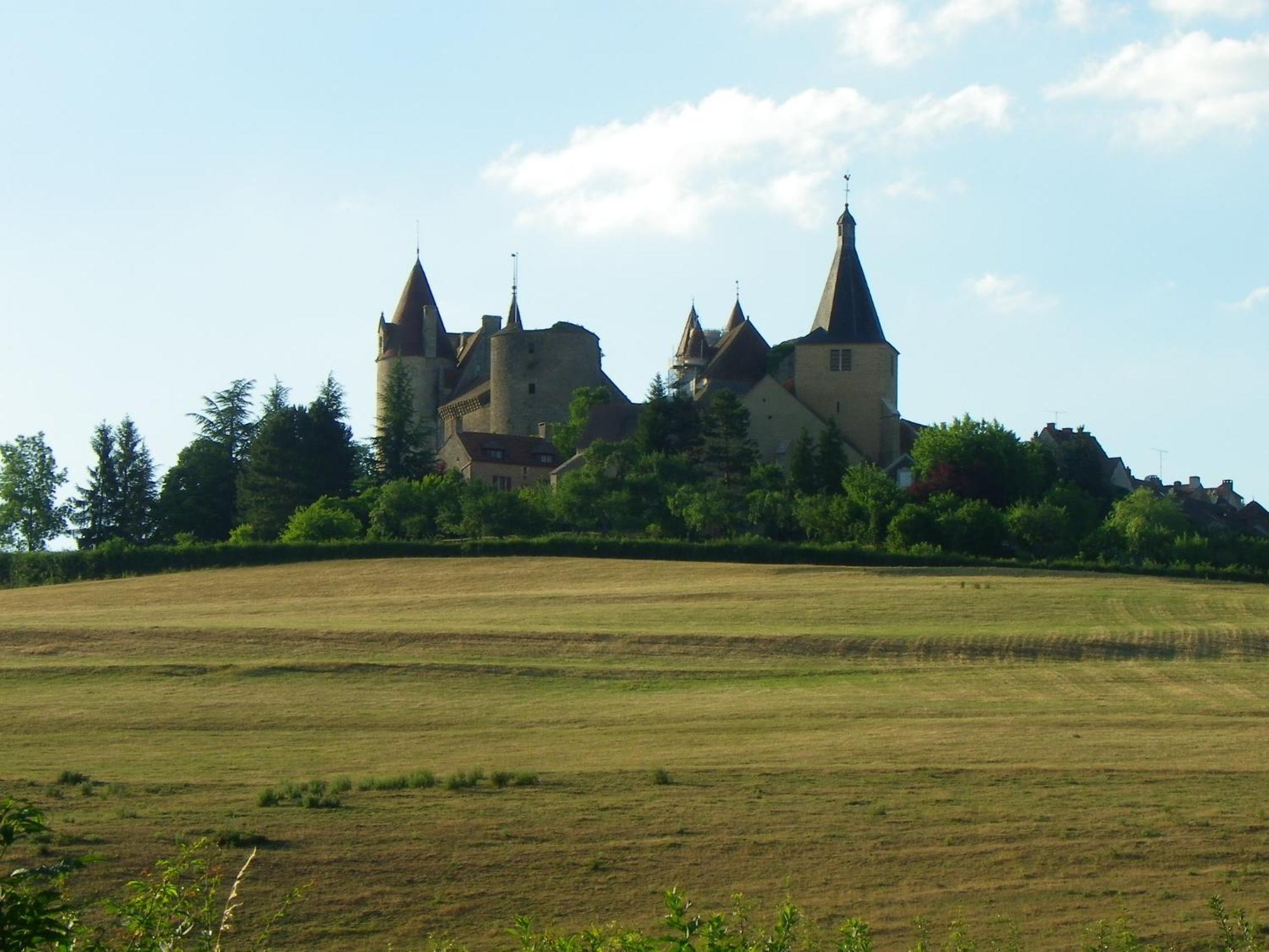 Le Cottage Du Chateau Chaudenay-le-Chateau ภายนอก รูปภาพ